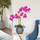 Luxurious home decor featuring a vibrant arrangement of pink orchids in a modern gray pot, embodying the theme 'Adding Color to Your Home: Infusing Life and Personality into Every Space'.