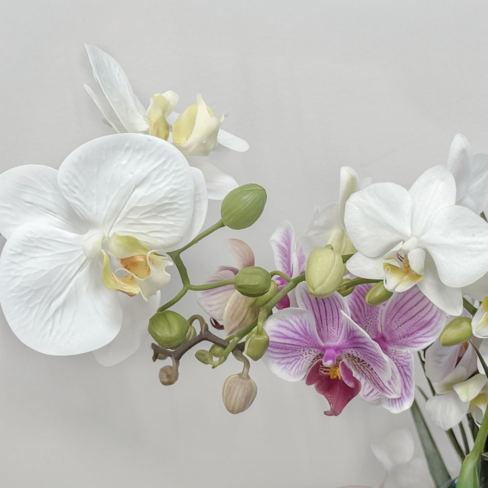 CG Hunter Fake Plant looks Lifelike next to a Real Orchid