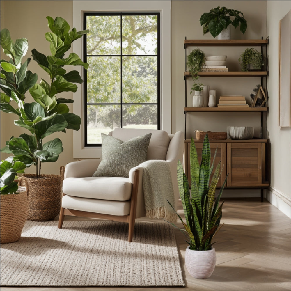 MSN Features CG Hunter for Best Home Gifts