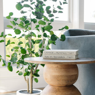 Spring decor from CG Hunter is here, featuring the natural wooden accent table (TBL-S25001) and the faux potted eucalyptus (EUC-24035).