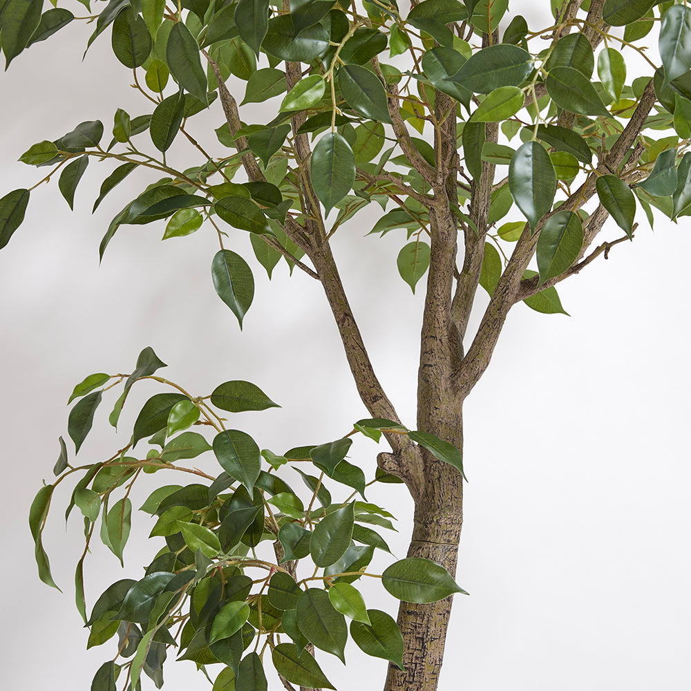 CG Hunter Feature: The 25 Best Faux Plants of 2024, Reviewed.