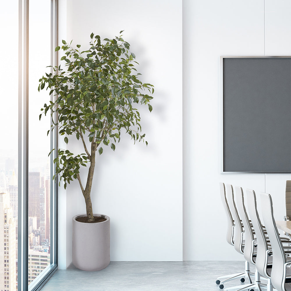 Transform Your Office with CG Hunter's High-End Faux Greenery