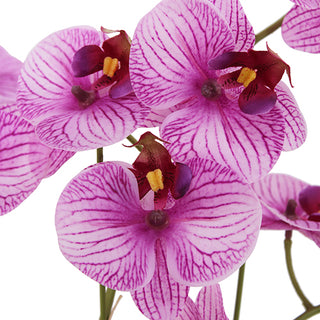 Lifelike Phalaenopsis orchid petals in vibrant purple tones, showcasing luxurious details by CG Hunter for the 23" Phale Orchid.