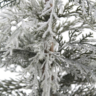 Close-up of lifelike frosted branches of the 2' Flocked Cedar Tree by CG Hunter, showcasing exquisite snowy details ideal for festive arrangements.