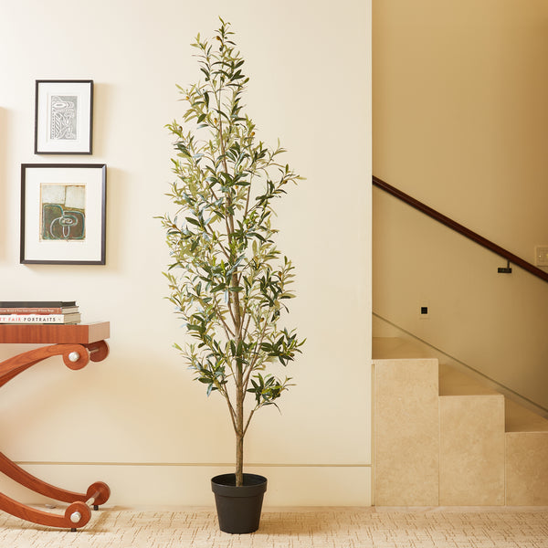 7' Faux Slim Olive Tree Lifestyle Image with Stable Drop in Pot