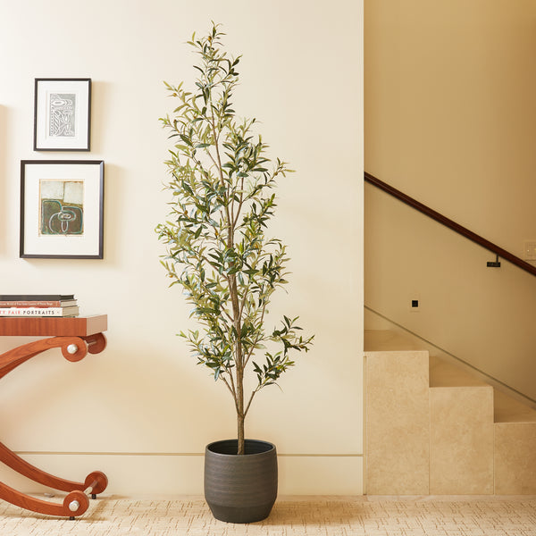 7' Faux Slim Olive Tree Lifestyle Image with Grey Planter