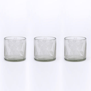 Shorter Etched Vases on White Background