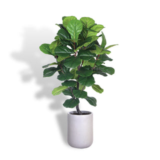 Luxurious Commercial Artificial Fiddle Leaf Fig Tree by CG Hunter, elegantly displayed in a modern artisan planter, perfect for upscale commercial spaces.