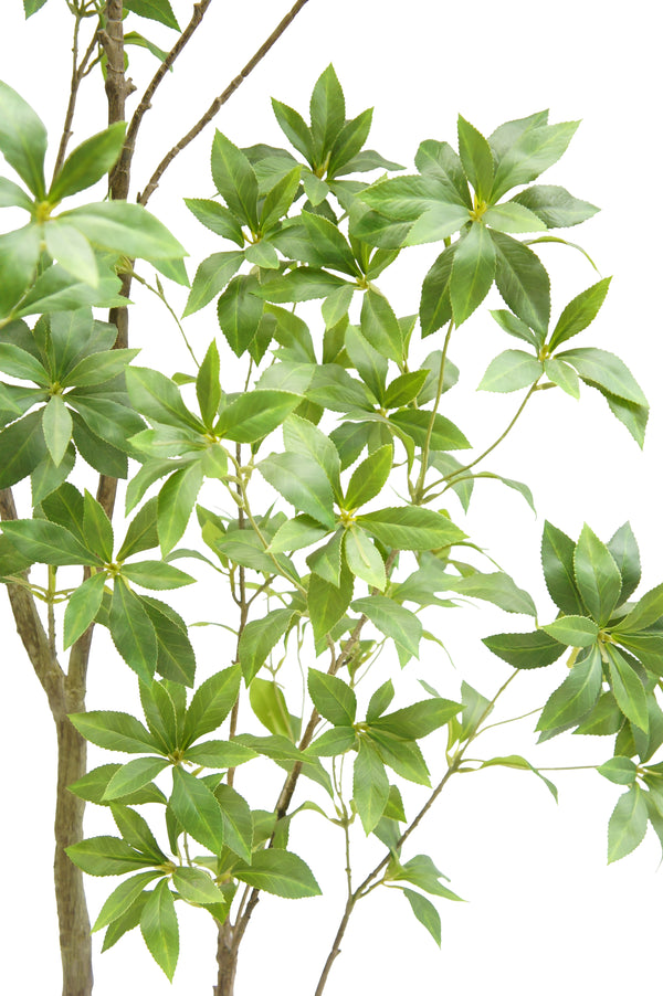 7' Faux Laurel Tree Leaf on White Background