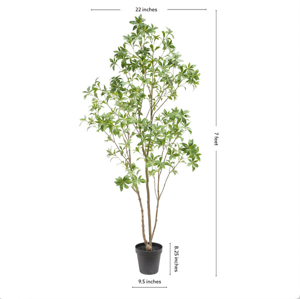 7' Faux Laurel Tree with Dimensions on White Background