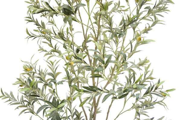 7' Faux Wispy Olive Tree Leaf on White Background