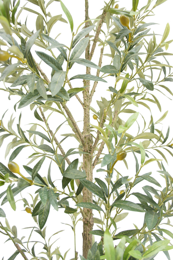 7' Faux Slim Olive Tree Leaf on White Background