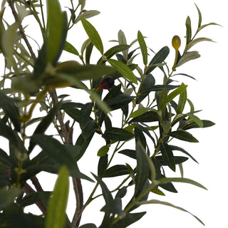 Close-up of lifelike leaves and branches from the CG Hunter 6.5' Faux Potted Olive Tree, showcasing realistic textures and details.