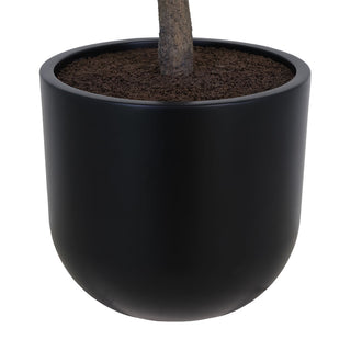 Sleek black pot of the CG Hunter 6.5' Faux Potted Olive Tree, designed to enhance modern home decor.
