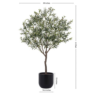 Dimensions illustration of the CG Hunter 6.5' Faux Potted Olive Tree, displaying its height and width for interior design purposes.