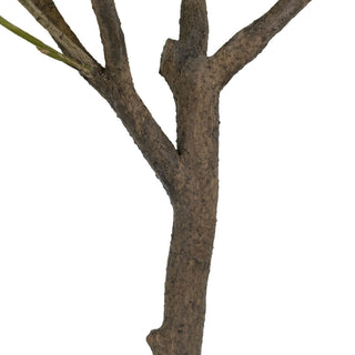 Detailed view of the sturdy trunk of the CG Hunter 6.5' Faux Potted Olive Tree, emphasizing its natural appearance.