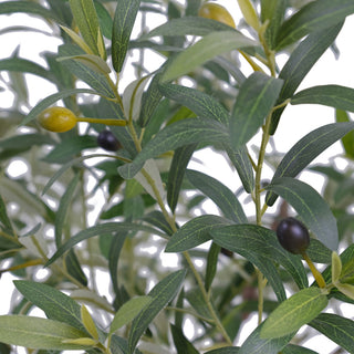 Close-up view of the lush leaves and olives on the CG Hunter 7.5' Faux Potted Olive Tree, adding a natural elegance to indoor spaces.