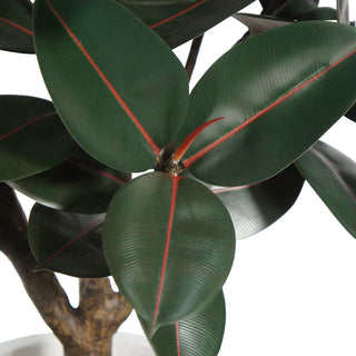 Close-up detail of CG Hunter's 5' Rubber Ficus Tree leaves, highlighting the lifelike texture and vibrant colors that enhance indoor elegance.