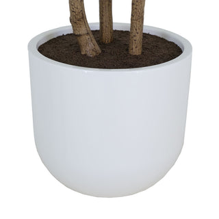 Close-up of the chic white pot of the CG Hunter 7' Faux Potted Sumac Tree, highlighting its modern design and sophisticated presence in interior settings.