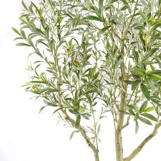 Close-up of the lush foliage of the CG Hunter Artificial 7' Olive Tree, highlighting its realistic leaves that evoke a sense of tranquility and luxurious Mediterranean beauty.