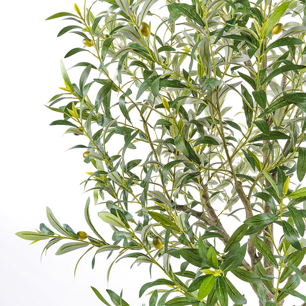 Close up of the CG Hunter Faux Olive Tree 8.5' silk lifelike leaves and handpainted stems and trunk 