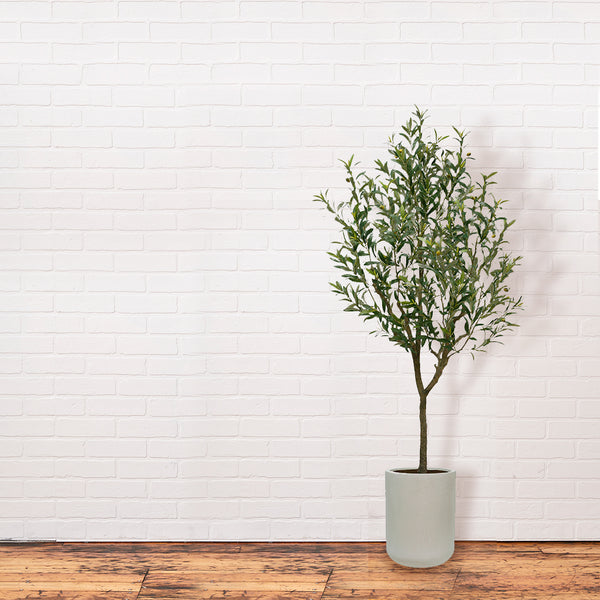 CG Hunter 7' Faux Olive Tree in artisan planter in front of white brick wall