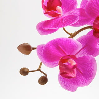 Close-up of Artificial Pink Double Stem Orchid by CG Hunter, highlighting the intricate details of its vibrant pink blossoms and realistic green leaves.
