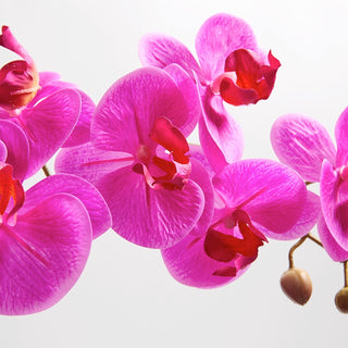 Close-up view of the lifelike artificial Pink Double Stem Orchid by CG Hunter, showcasing intricately designed petals in exquisite shades of pink.