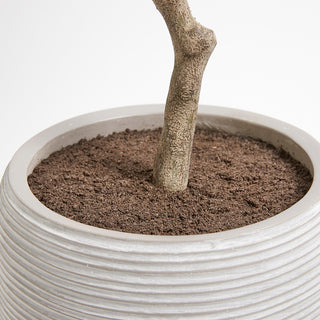 Detailed close-up of the textured pot base showcasing the lifelike artificial Olive Topiary Tree by CG Hunter, emphasizing the realistic design and quality craftsmanship.