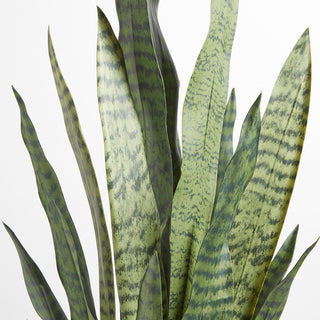 Close-up of lifelike foliage from the artificial snake plant by CG Hunter, showcasing intricate textures and vibrant colors in a premium design.