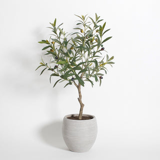 Full view of the exquisite artificial Olive Topiary Tree in Mediterranean Pot by CG Hunter, showcasing its lush foliage and elegant design against a plain background.
