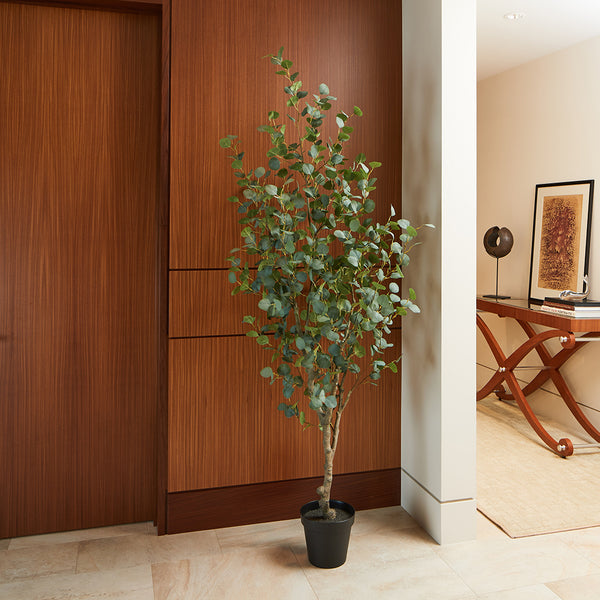 CG Hunter Faux Eucalyptus Tree 7' tall in hallway