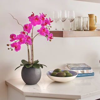 Sophisticated arrangement of the Artificial Pink Double Stem Orchid by CG Hunter on a kitchen countertop, with a modern gray pot and vibrant green fruits.