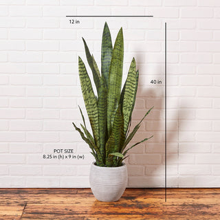Dimensions of the Artificial Snake Plant with Artisan Planter by CG Hunter, featuring detailed measurements and showcasing its impressive height and pot size.