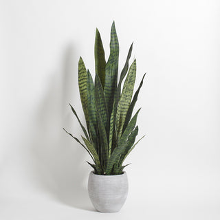 Full view of the 40" Artificial Snake Plant with Artisan Planter by CG Hunter, prominently displayed in a bright setting to accentuate its tall, striking leaves.