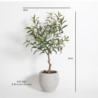 Dimensions and specifications of the lifelike artificial Olive Topiary Tree in Mediterranean Pot by CG Hunter, highlighting its height of 34 inches and pot size of 8.25 in (h) x 9 in (w).