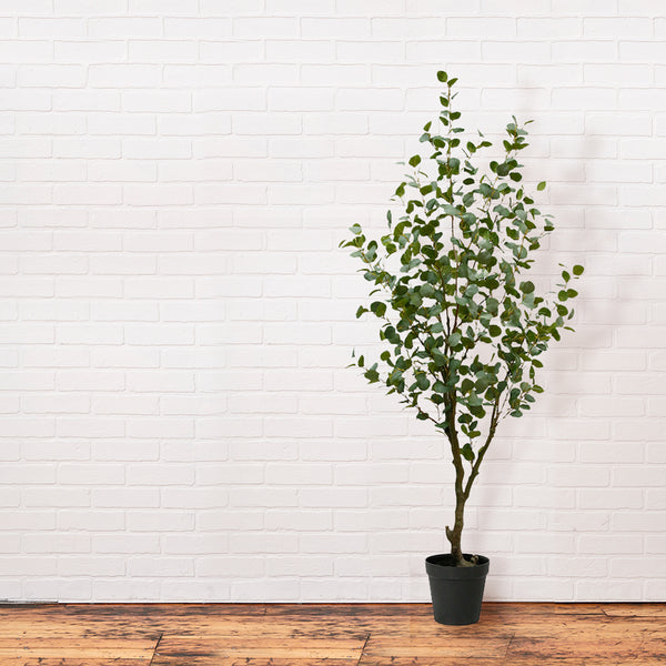 CG Hunter Faux Eucalyptus Tree 7' tall on white brick wall