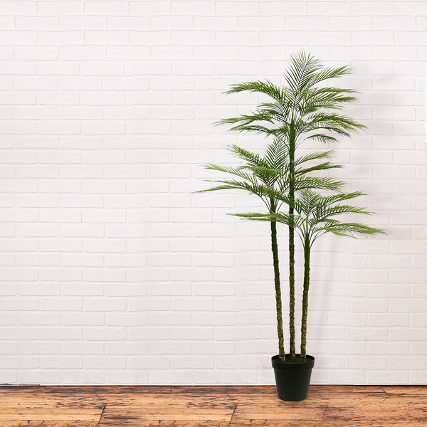 CG Hunter Artificial Palm Tree 7' in a sleek black 9.5" grower pot on white brick wall