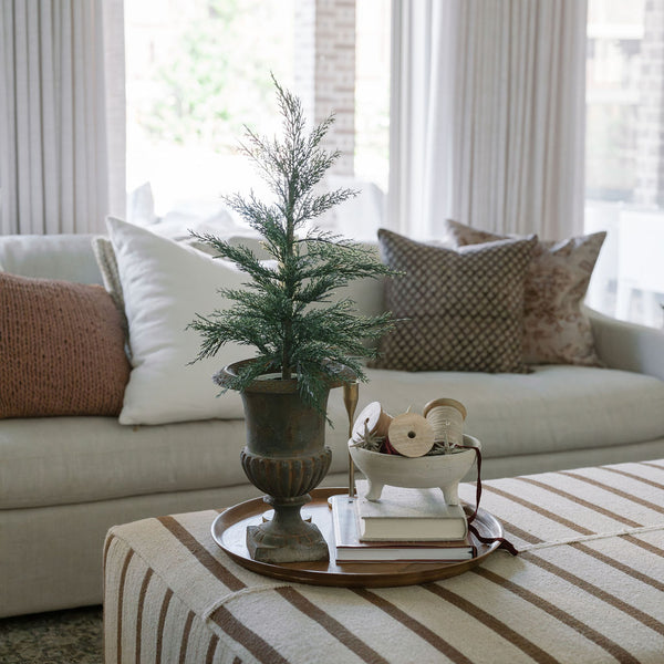 24" Cedar Tree in pot on living room ottoman