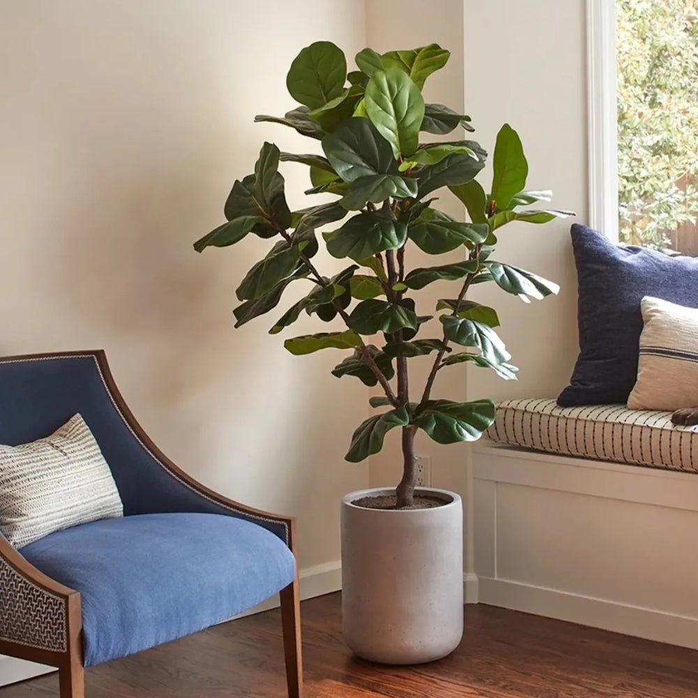 Apartment Therapy: CG Hunter Faux Plants are Most Realistic