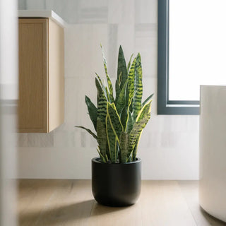 Faux snake plant in luxury bathroom with black base from CG Hunter