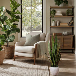 Top 10 Home Decor Trends to Watch in 2025