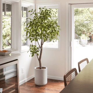 Embracing Outdoor Living - CG Hunter