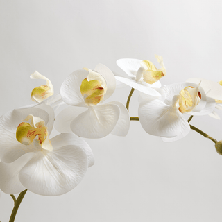 Why Faux Plants and Trees Are an Investment in Style and Sustainability - CG Hunter