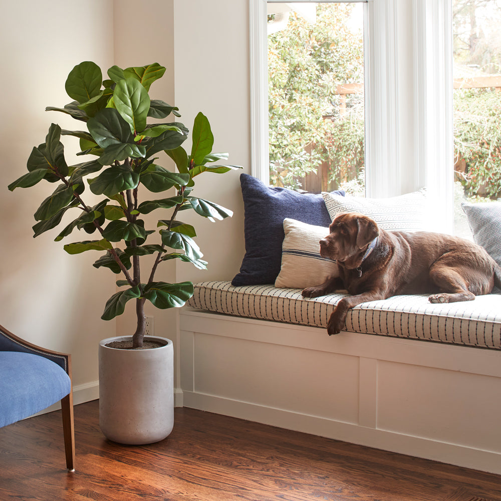 Artificial plants and pets are perfect for National Pet Day