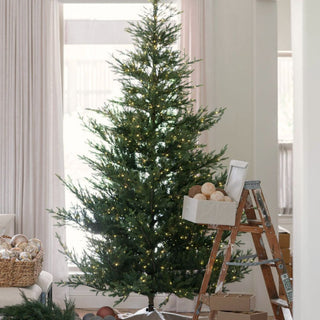 Christmas Trees by Zodiac Sign