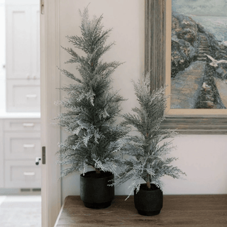 Holiday Greenery That Defines the Season - CG Hunter