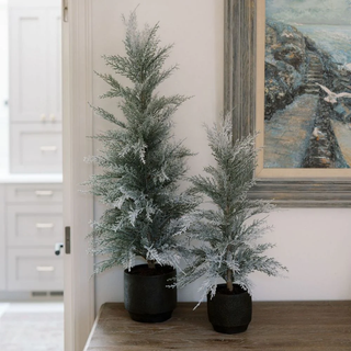 Holiday Greenery That Defines the Season
