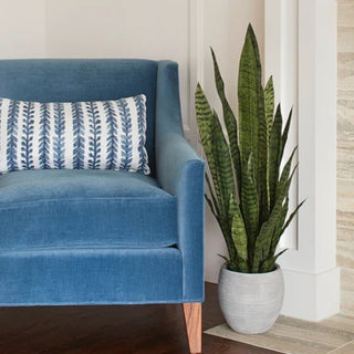 Forbes names CG Hunter a 2025 Homebody Trendsetter