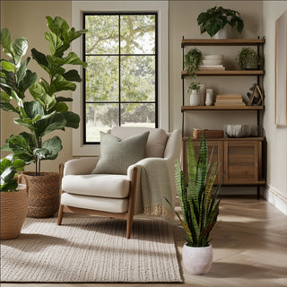 MSN Features CG Hunter for Best Home Gifts